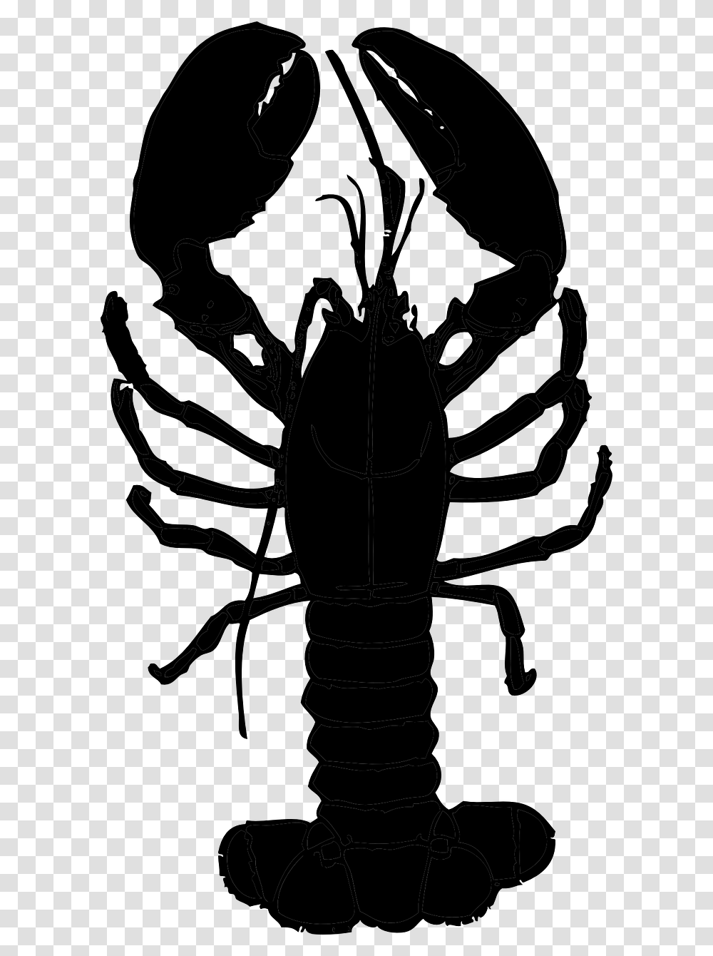 Lobster Lobster Clipart, Gray, World Of Warcraft Transparent Png