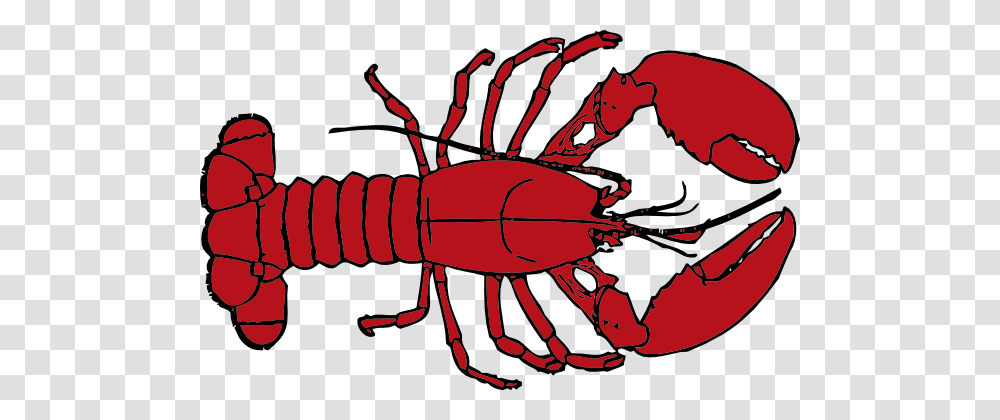 Lobster Outline, Crawdad, Seafood, Sea Life, Animal Transparent Png
