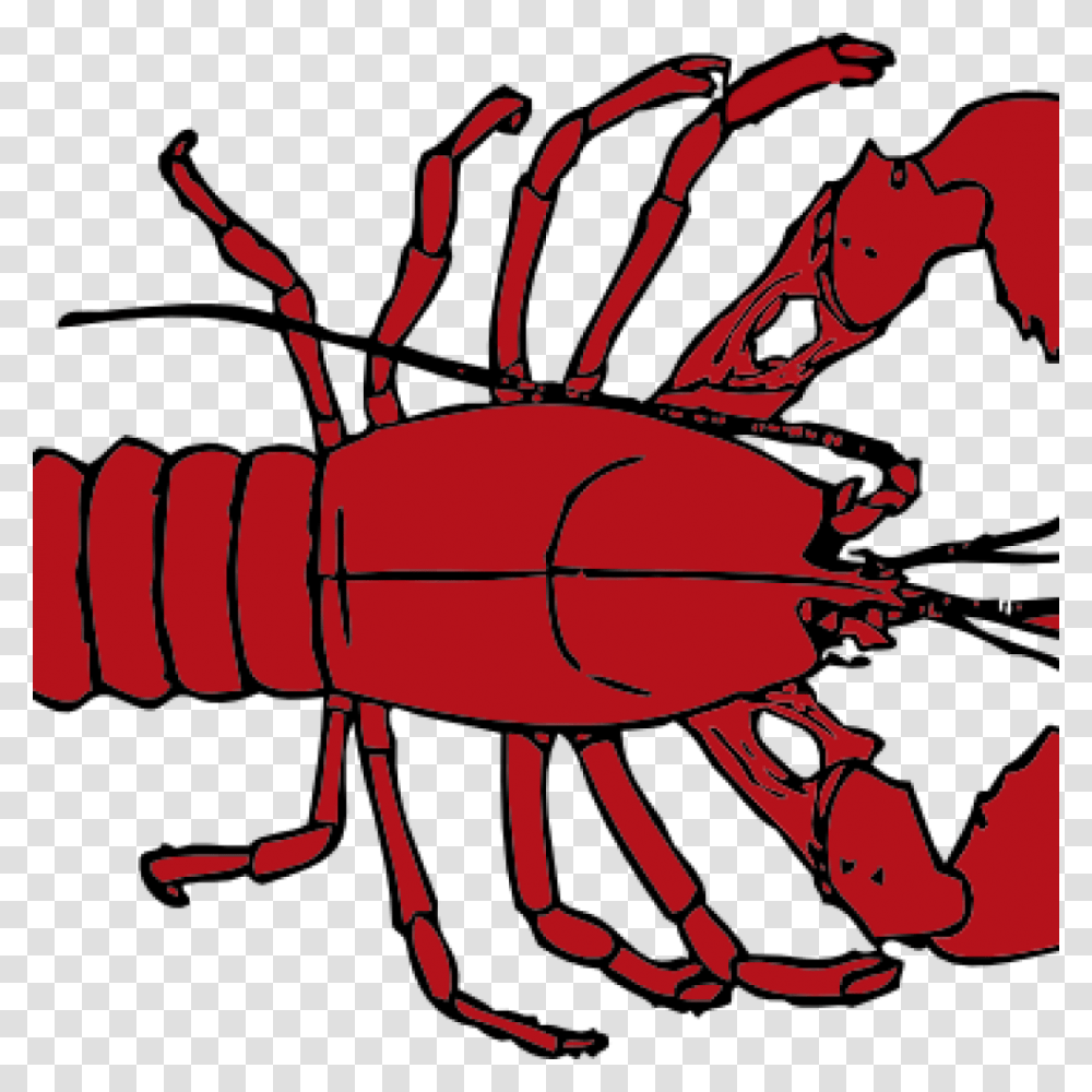 Lobster Outline Sun Clipart, Crawdad, Seafood, Sea Life, Animal Transparent Png