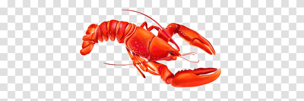 Lobster Photo Lobster Cartoon, Seafood, Sea Life, Animal, Crab Transparent Png