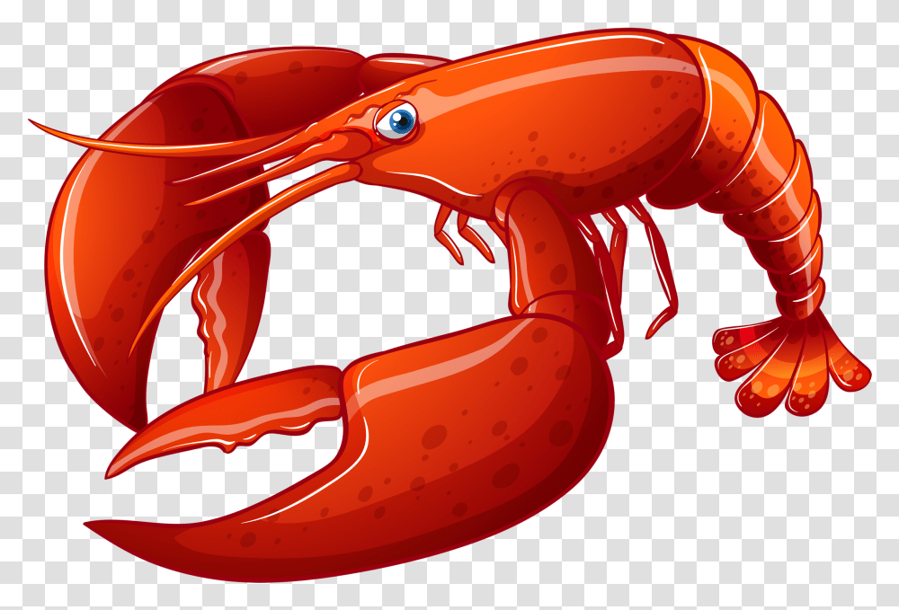 Lobster Vector Free Different Types Sea Animals, Seafood, Sea Life, Helmet, Clothing Transparent Png