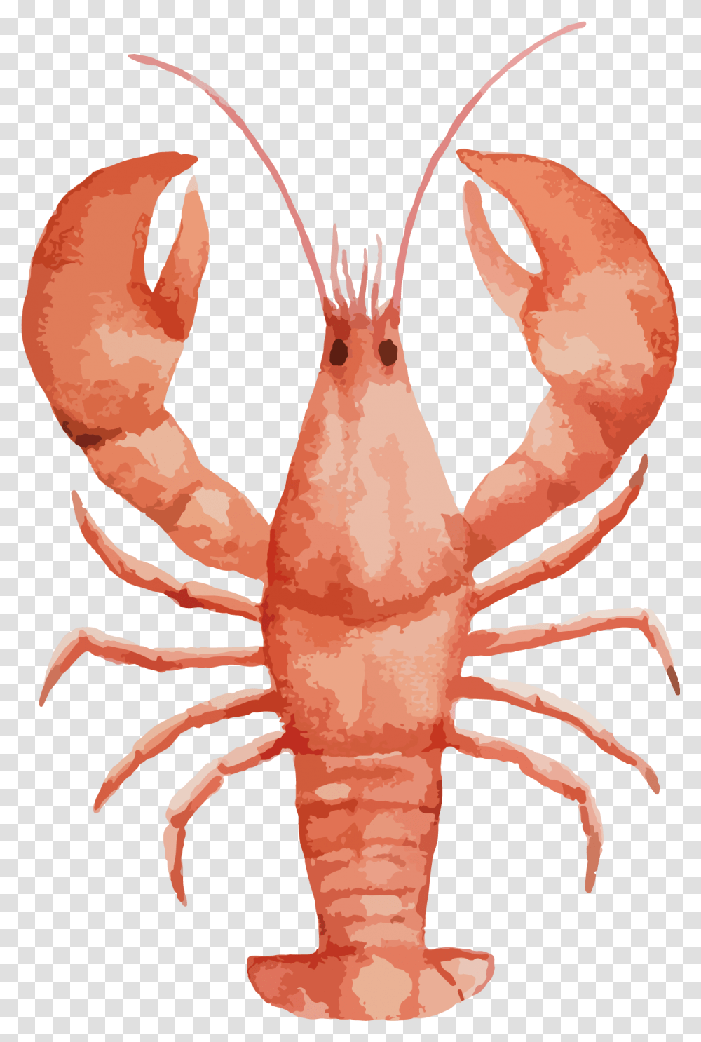 Lobster Watercolor Painting Seafood Painted Large Transprent Lobsters Mate For Life Friends, Sea Life, Animal, Crawdad, Bird Transparent Png