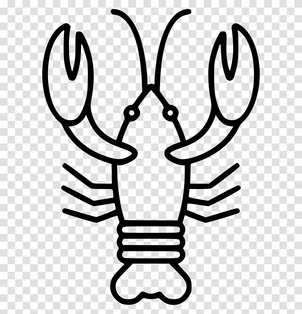 Lobster White Lobster, Light, Animal, Invertebrate, Dynamite Transparent Png