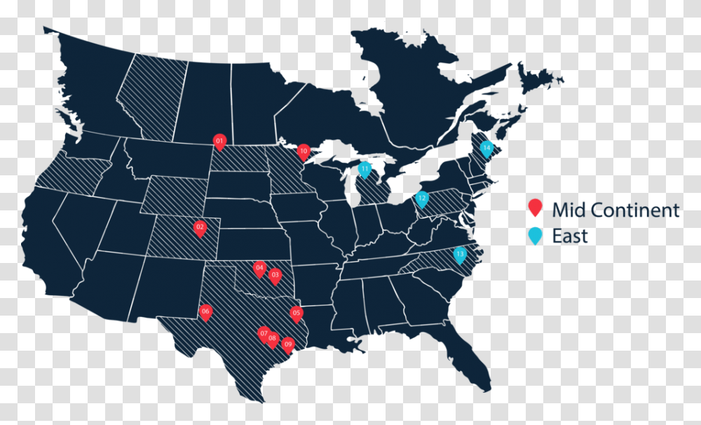 Locations Did Michigan Vote For Donald Trump, Plant, Flower, Tree, Outdoors Transparent Png