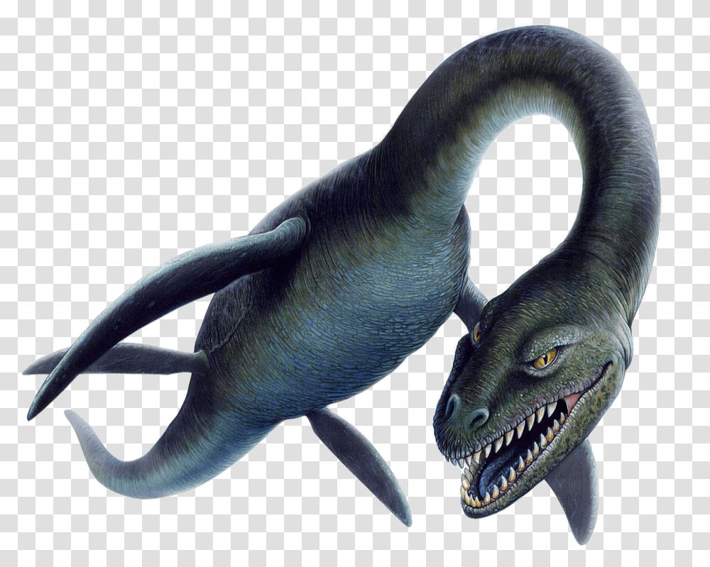 Loch Ness Monster Scary, Animal, Reptile, Bird, Sea Life Transparent Png