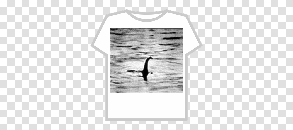 Loch Ness Monsternessie Roblox Loch Ness Monster, Bird, Animal, Sleeve, Clothing Transparent Png
