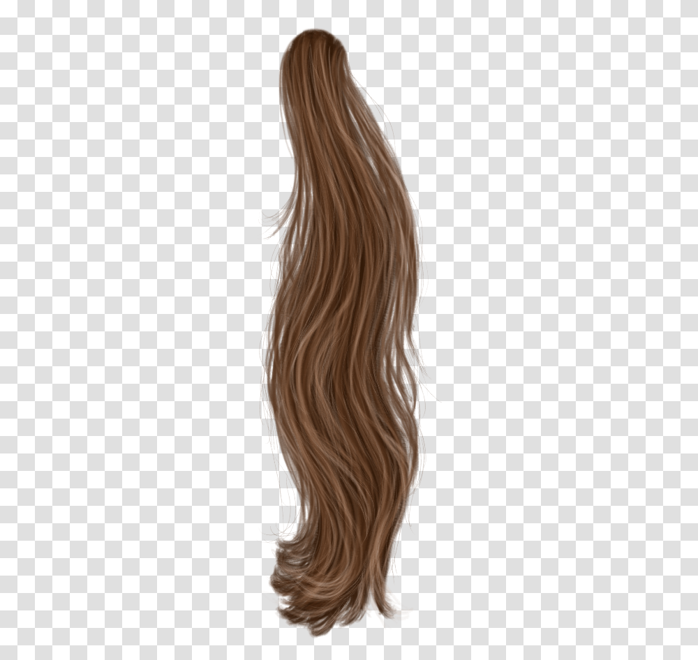 Lock Of Hair, Person, Plant, Face Transparent Png