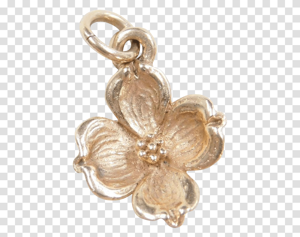 Locket, Accessories, Accessory, Jewelry, Fungus Transparent Png