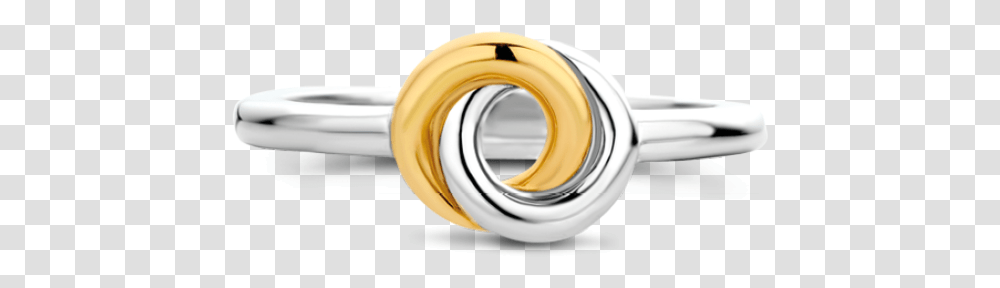 Locket, Accessories, Jewelry, Horn, Brass Section Transparent Png