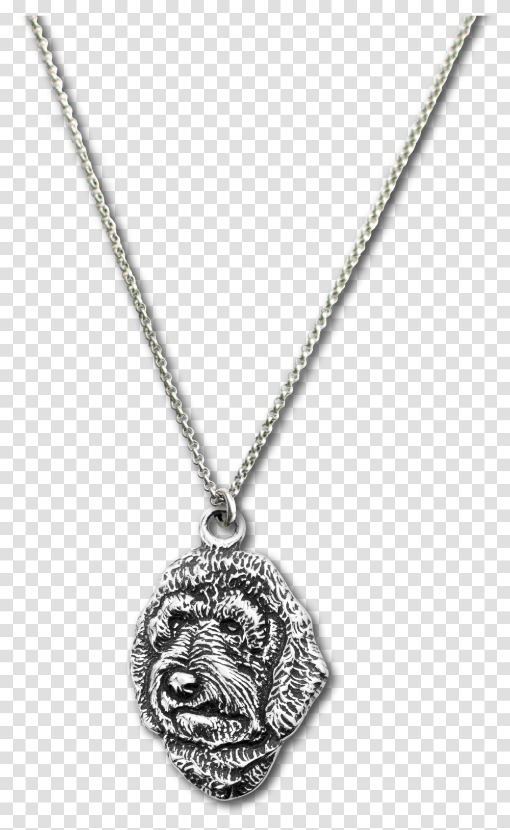 Locket, Necklace, Jewelry, Accessories, Accessory Transparent Png