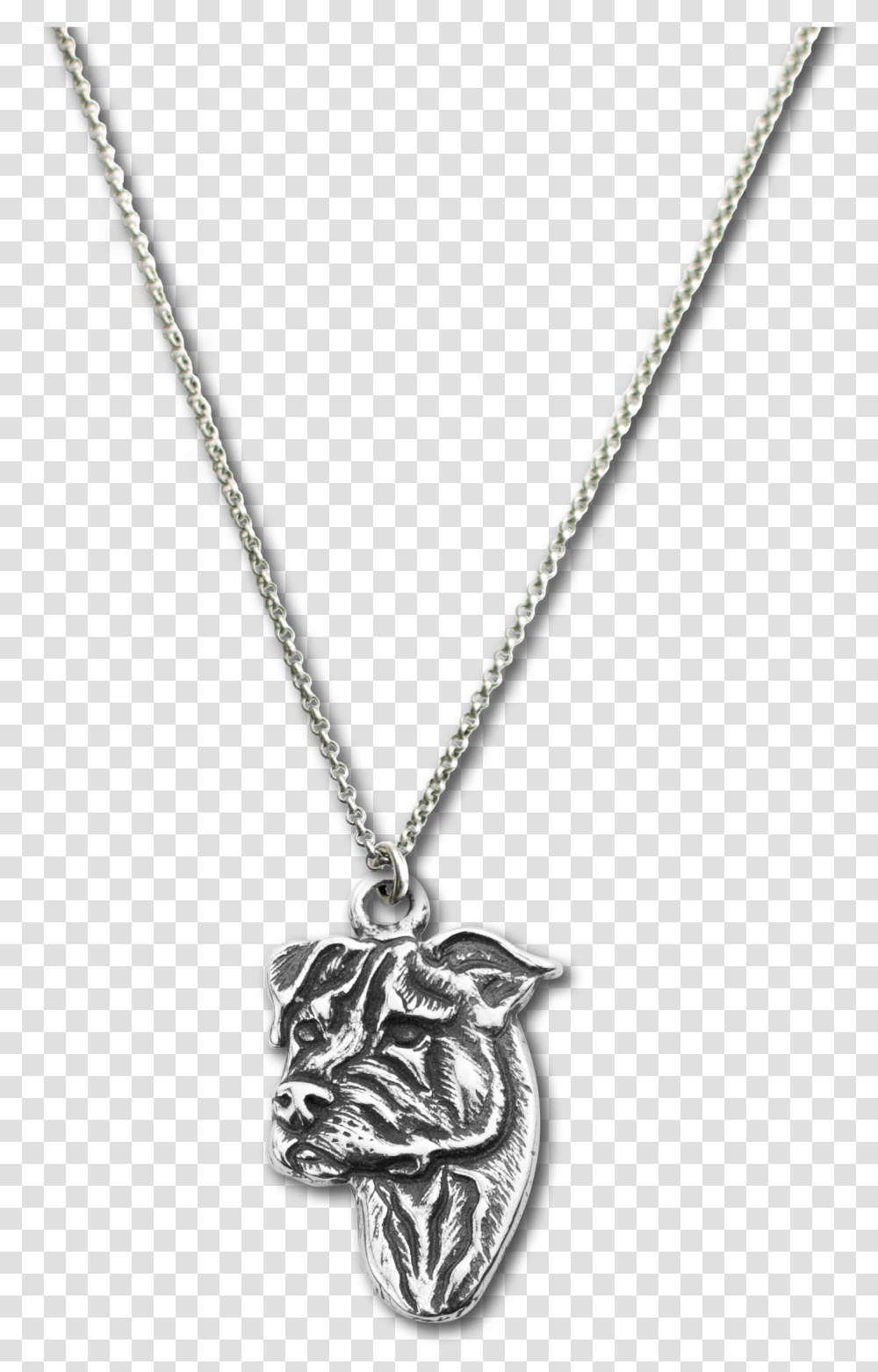 Locket, Necklace, Jewelry, Accessories, Accessory Transparent Png