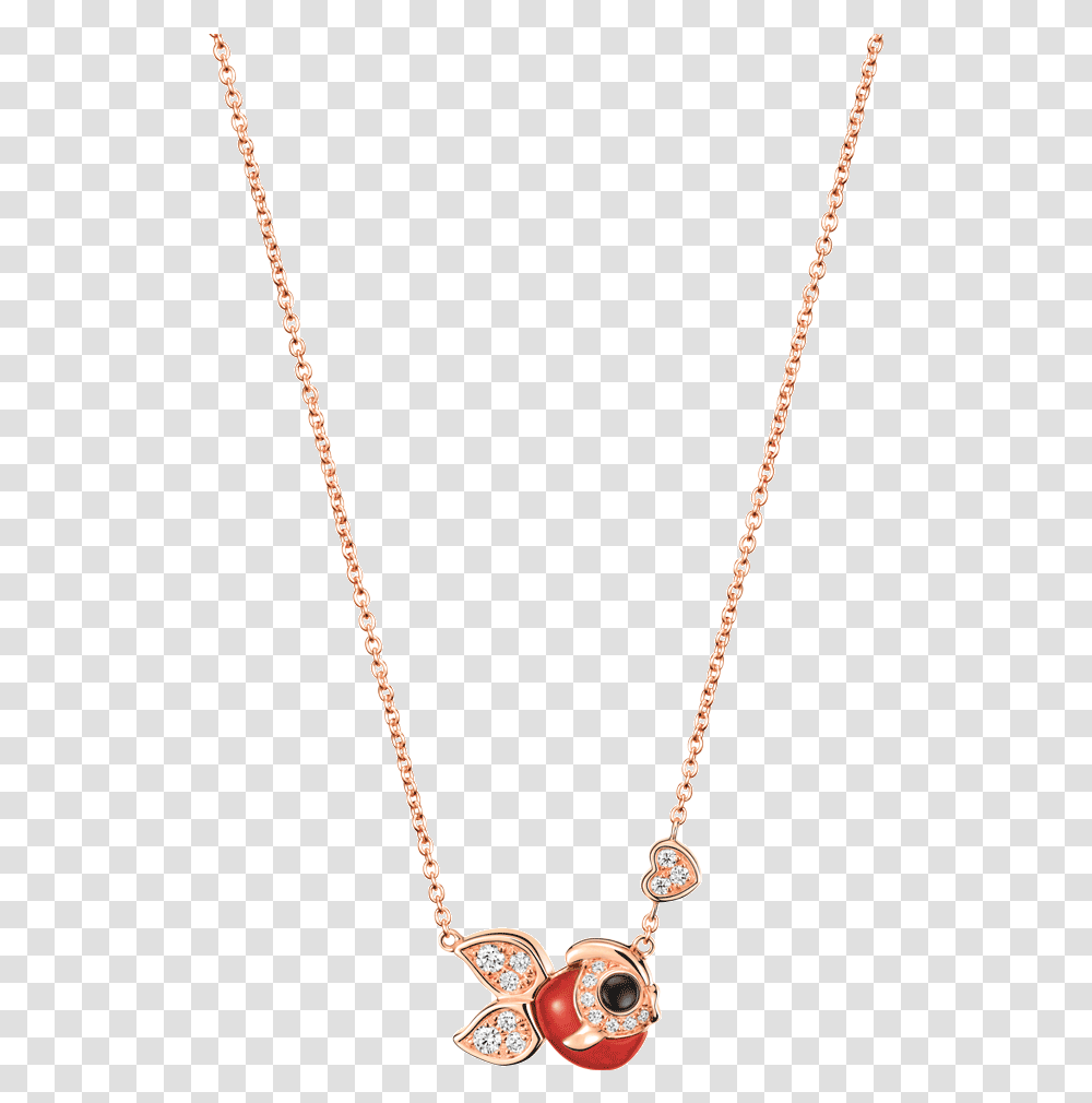 Locket, Necklace, Jewelry, Accessories, Accessory Transparent Png