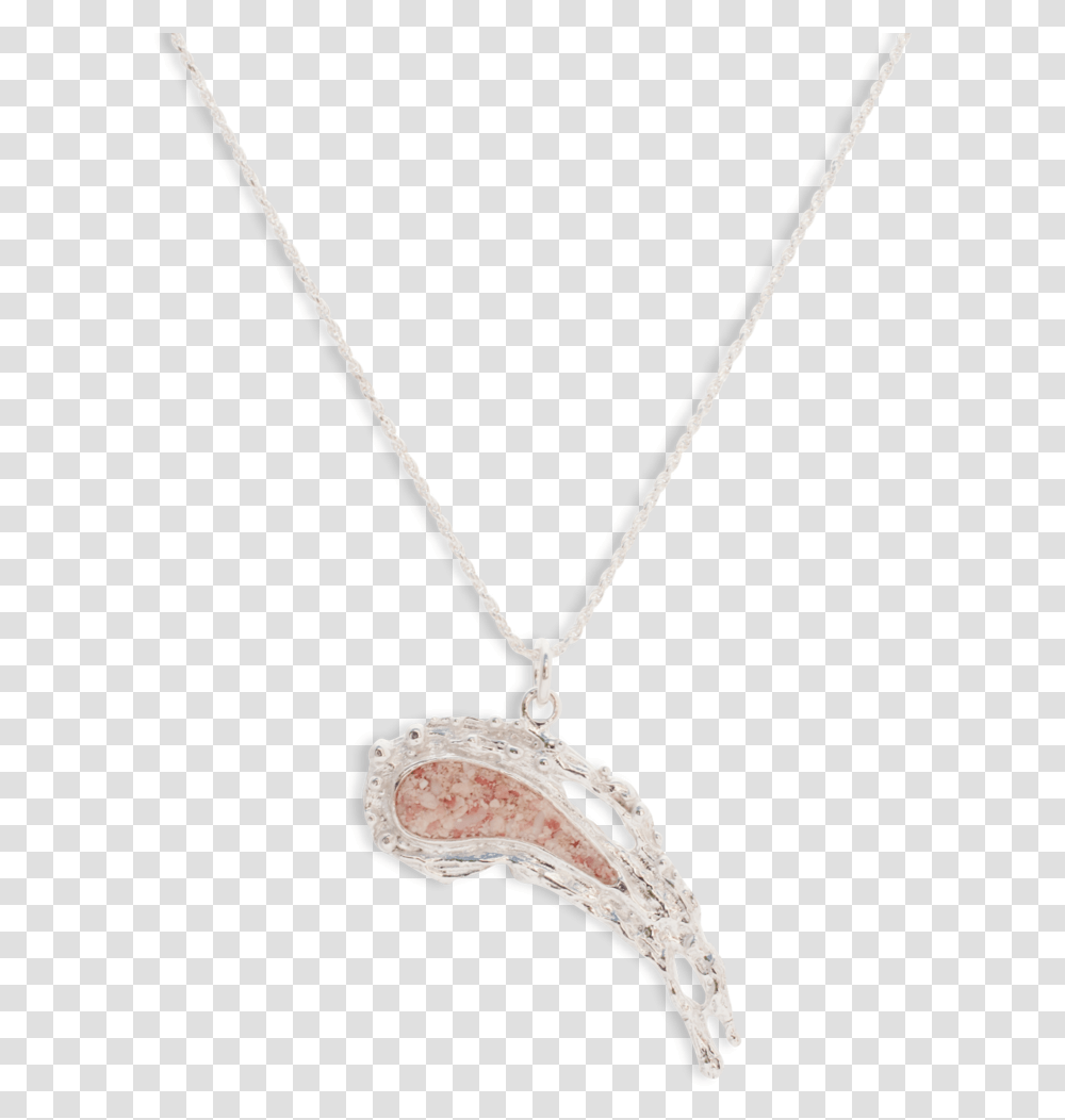 Locket, Necklace, Jewelry, Accessories, Accessory Transparent Png