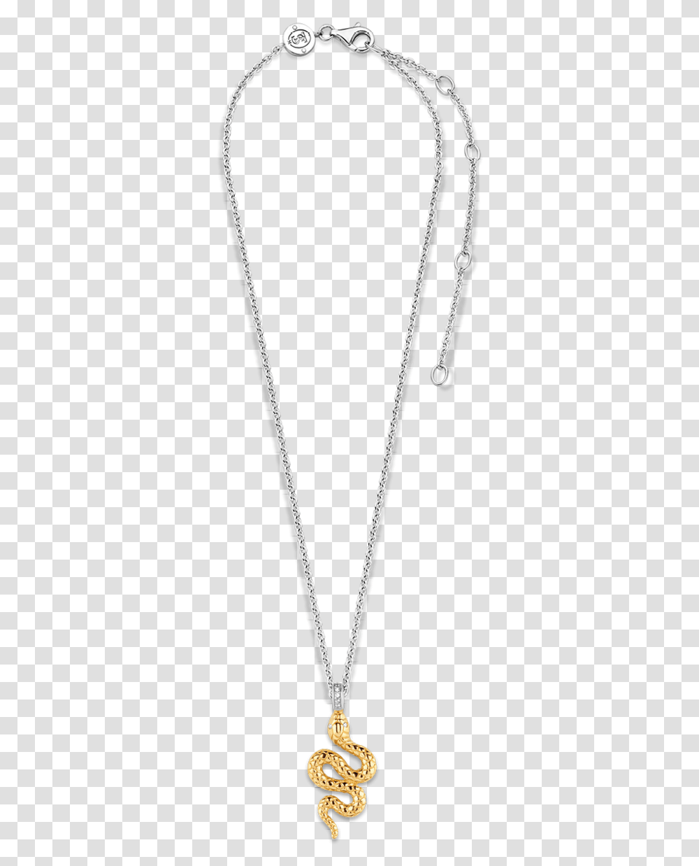 Locket, Necklace, Jewelry, Accessories, Accessory Transparent Png