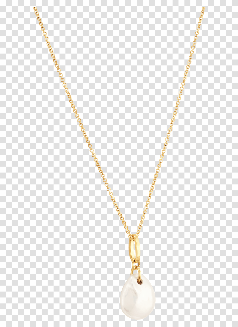 Locket, Necklace, Jewelry, Accessories, Accessory Transparent Png