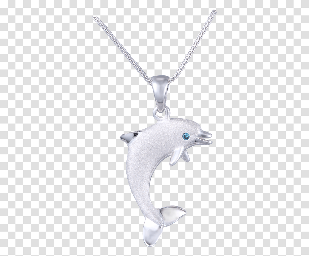 Locket, Pendant, Bird, Animal, Necklace Transparent Png