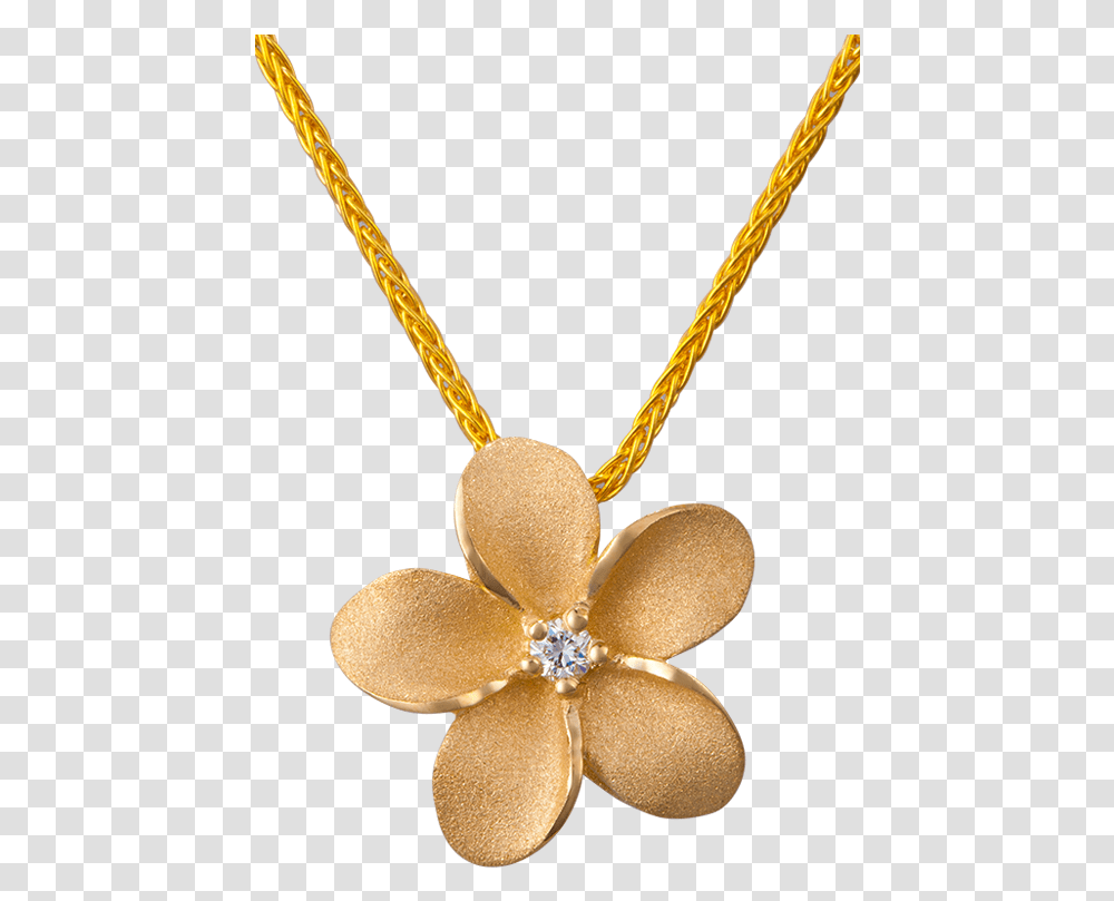 Locket, Pendant, Gold, Necklace, Jewelry Transparent Png