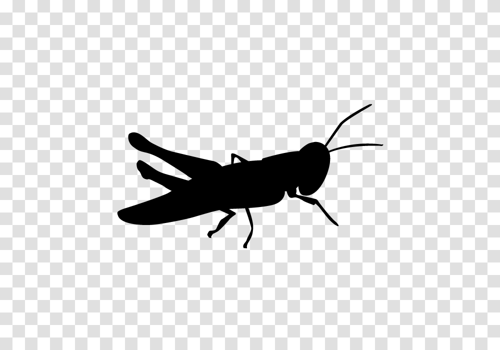Locust Animal Silhouette Free Illustrations, Gray, World Of Warcraft Transparent Png
