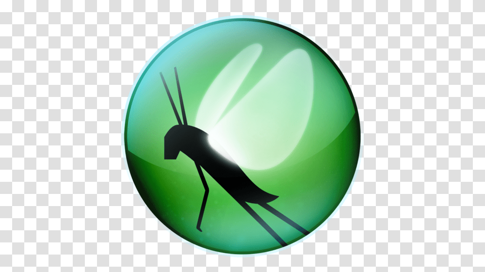 Locustio Twitter Locust Load Testing, Insect, Invertebrate, Animal, Green Transparent Png