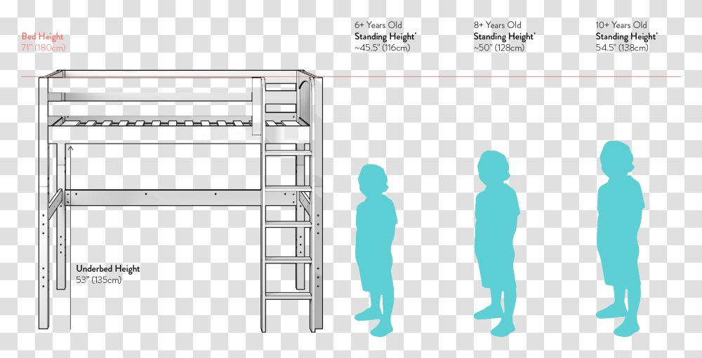 Loft Bed Height Clearance, Furniture, Bunk Bed, Person, Human Transparent Png