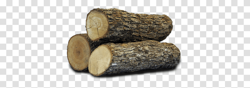 Log 2 Image Logs, Wood, Lumber, Tree, Plant Transparent Png