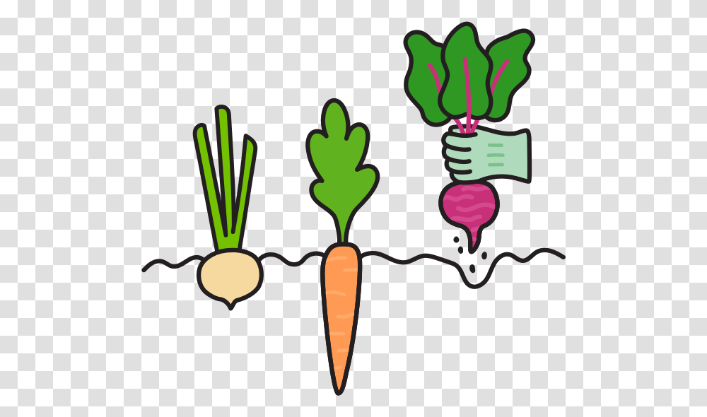 Log In To View Your Order Baby Carrot, Plant, Vegetable, Food, Root Transparent Png