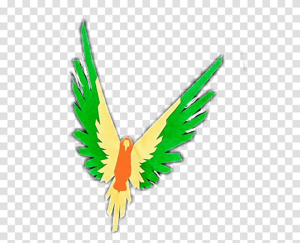 Loganpaul Maverick Maverick Movement, Animal, Bird, Flying, Parrot Transparent Png