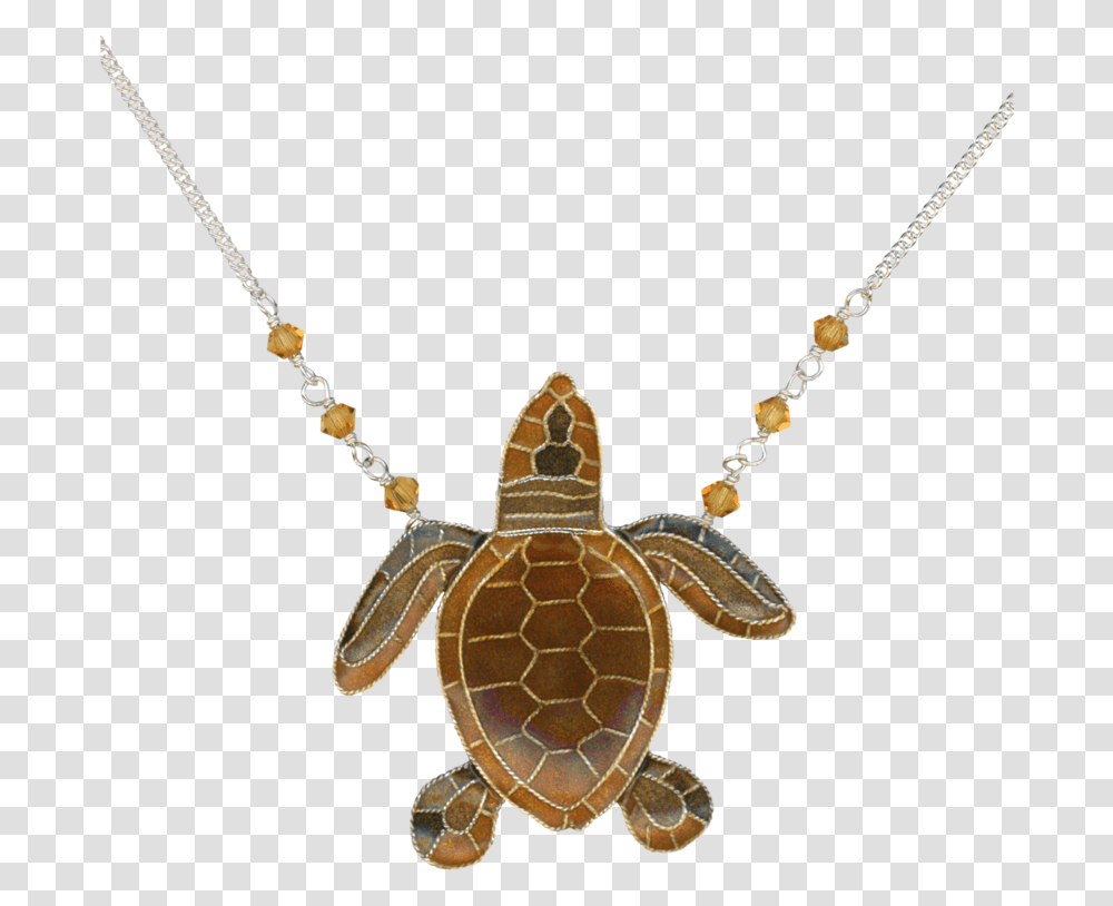 Logger Lrg Neck, Sea Life, Animal, Reptile, Turtle Transparent Png