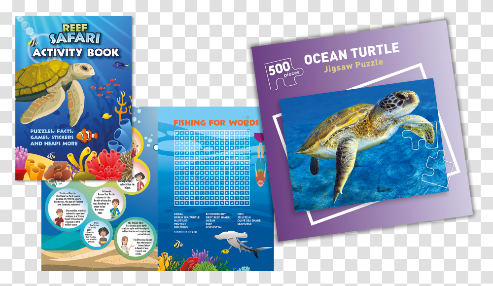 Loggerhead Sea Turtle, Reptile, Sea Life, Animal, Advertisement Transparent Png