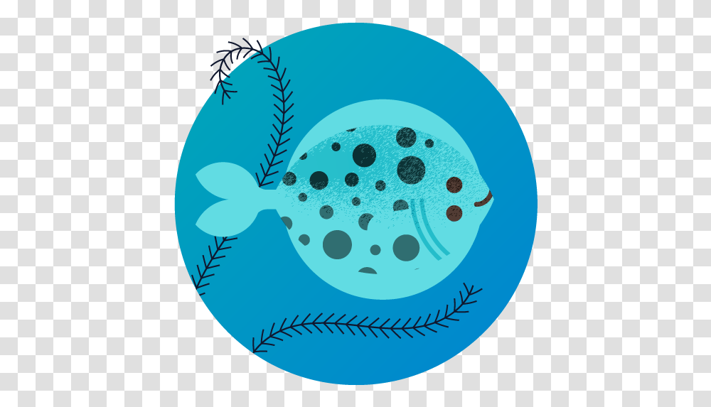 Logic Fish Fish, Animal, Sea Life, Art, Graphics Transparent Png