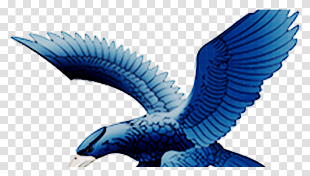 Logo Ateneo Blue Eagles, Animal, Bird, Person, Jay Transparent Png