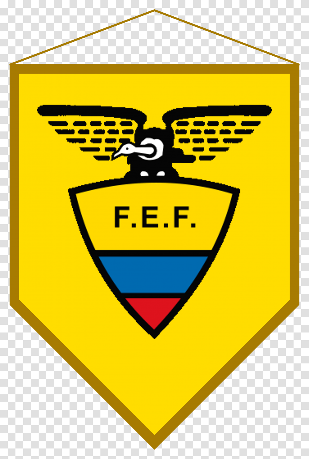 Logo Bandern Ecuador Ecuadorian Football Federation, Seagull, Bird, Animal Transparent Png