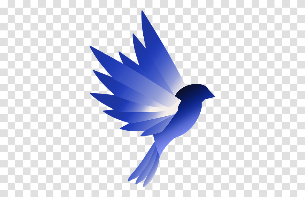 Logo Bird Blue Design Wing Animal Swallow, Jay, Blue Jay, Nature, Outdoors Transparent Png