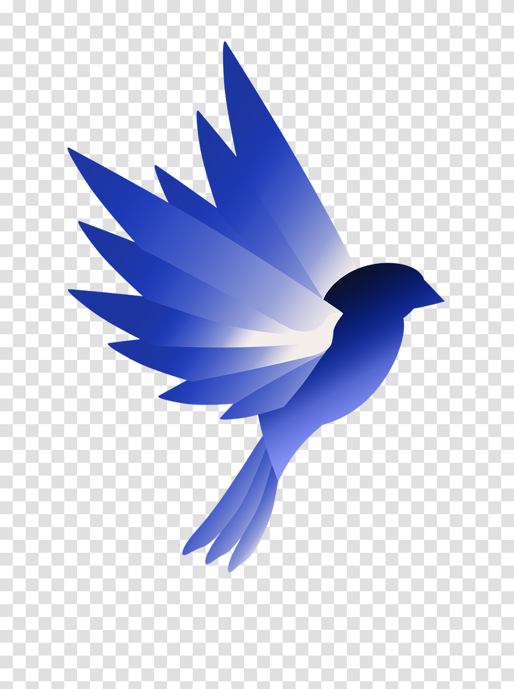 Logo Bird Blue Swallow, Jay, Animal, Blue Jay, Flying Transparent Png