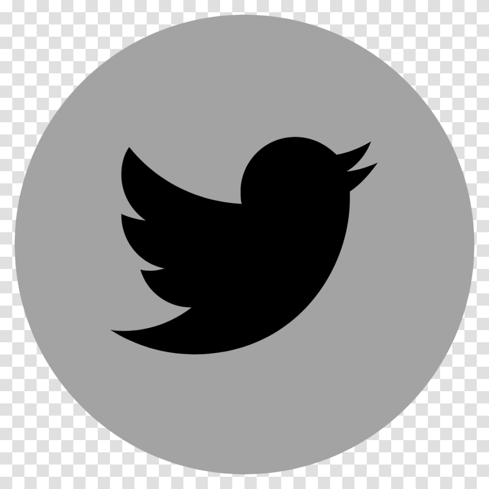 Logo Brand Social Media Marketing Corporate Identity Twitter Logo Vector, Bird, Animal, Stencil Transparent Png
