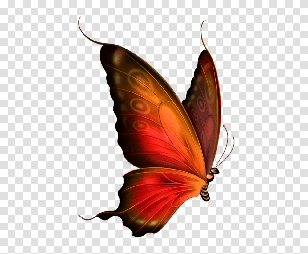 Logo Clipart Butterfly, Ornament, Pattern, Fractal Transparent Png