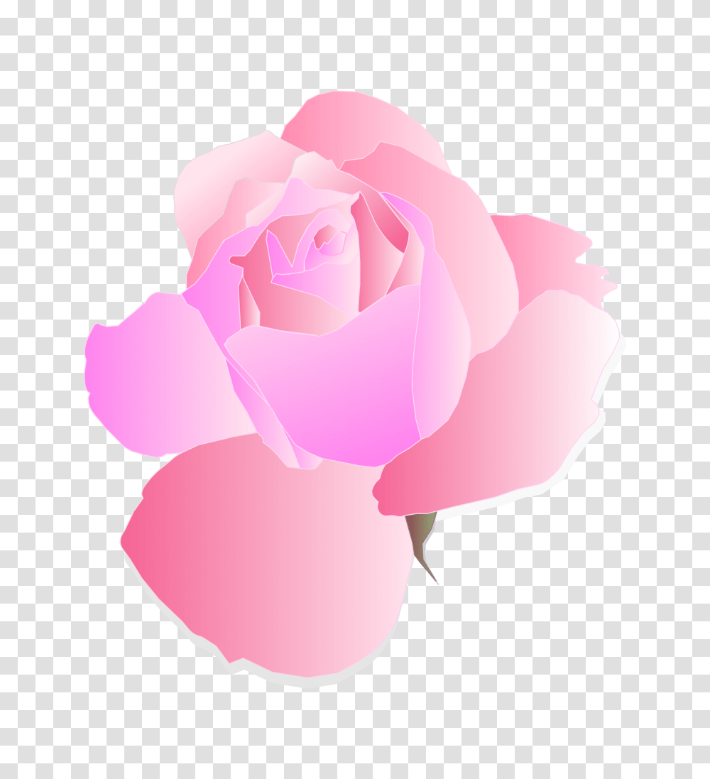 Logo Clipart Roses, Flower, Plant, Blossom, Petal Transparent Png