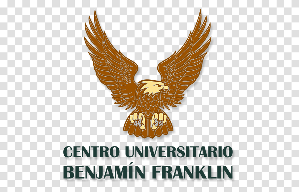 Logo Cu Benjamn Franklin Hawk, Bird, Animal, Eagle Transparent Png