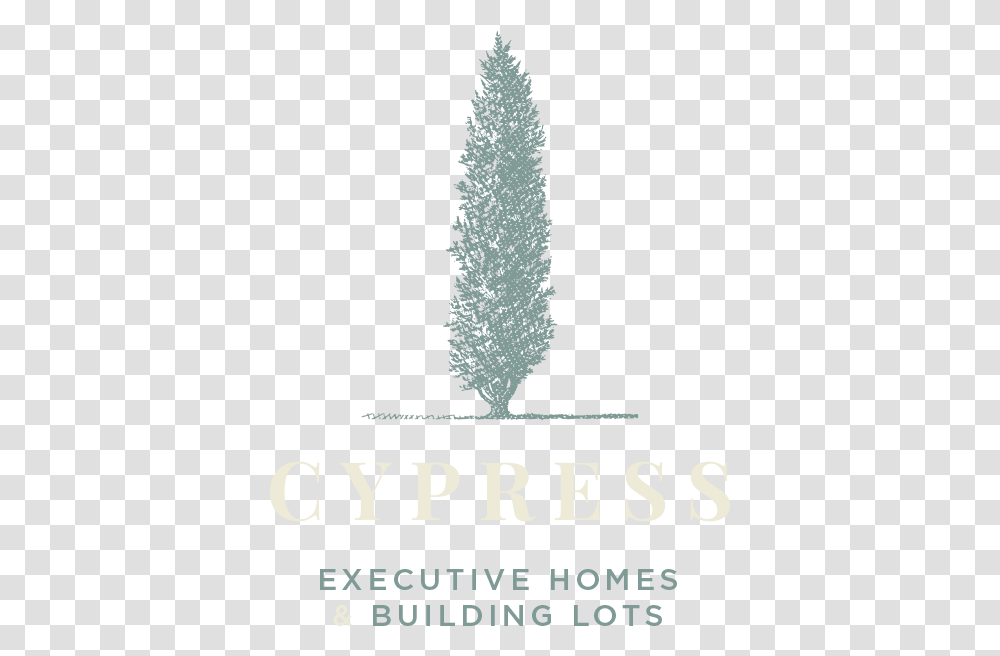 Logo Cypress White Christmas Tree, Alphabet, Plant, Poster Transparent Png
