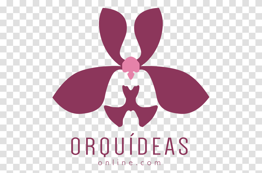 Logo De Orquidea, Maroon, Plant, People Transparent Png