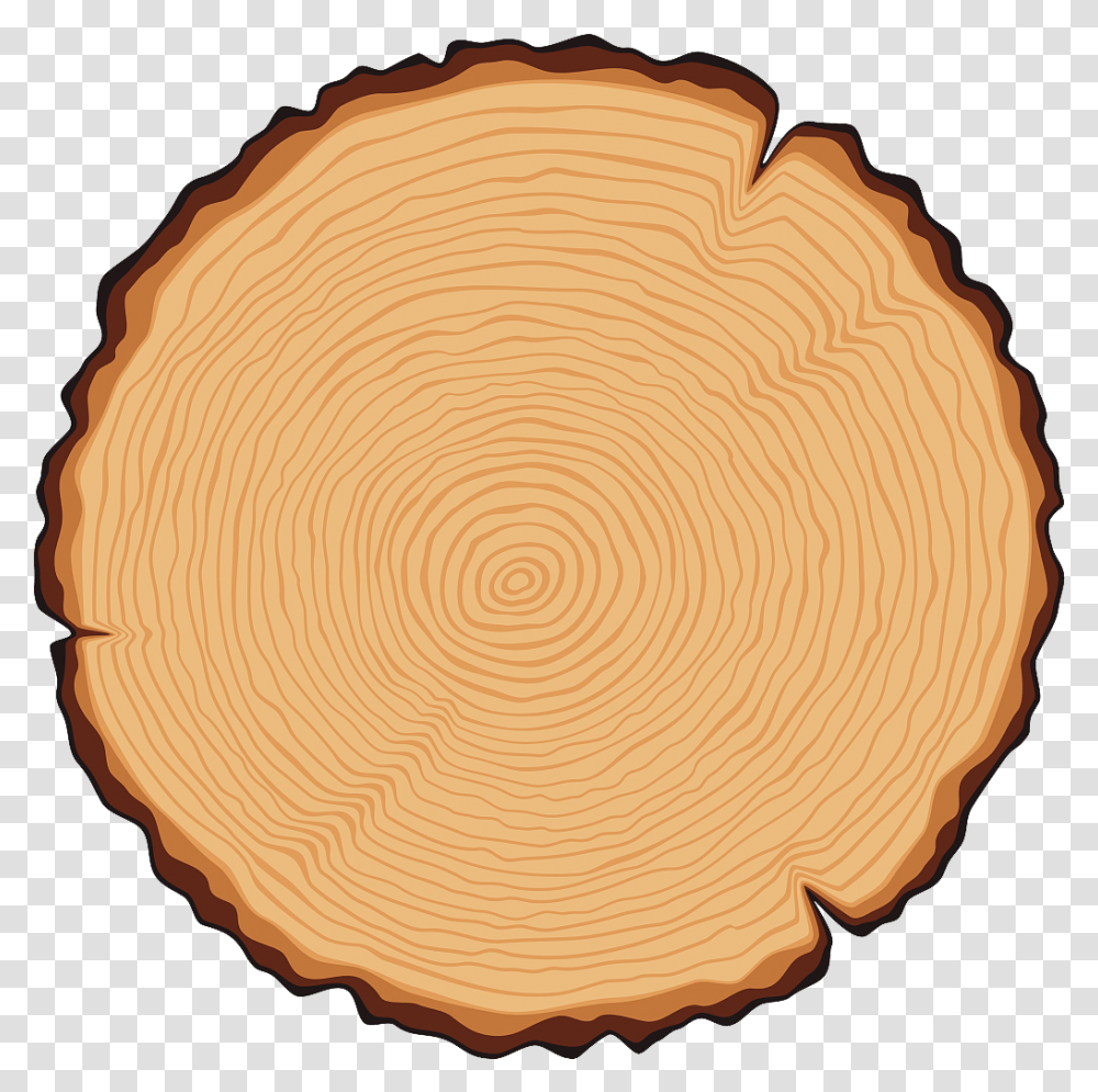 Logo De Tronco Clipart Tree Rings Clipart, Lamp, Wood, Food, Plant Transparent Png