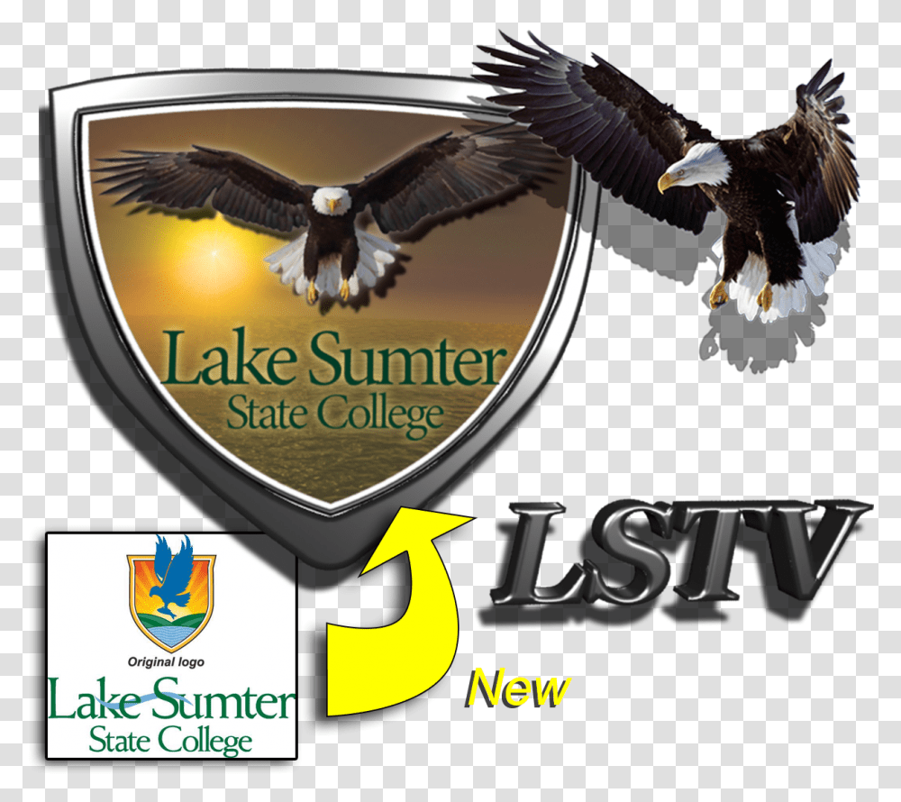 Logo Design 3d, Eagle, Bird, Animal, Bald Eagle Transparent Png