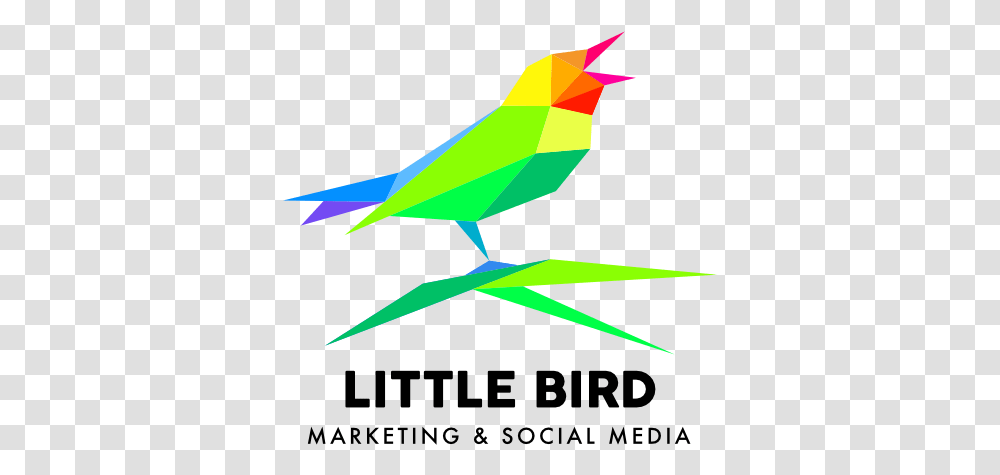 Logo Design And Branding For Minneapolis Small Businesses Logo Designs On Websites, Animal, Bird, Jay, Beak Transparent Png