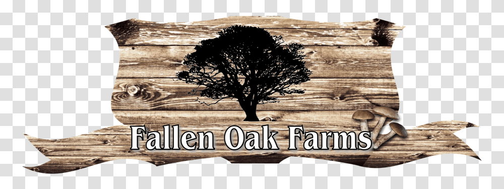 Logo Design By Merchand27 For This Project Oak, Tree, Plant, Tree Trunk, Sycamore Transparent Png