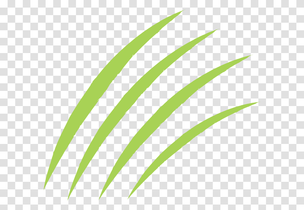 Logo Design By Superspectrum For General Mills Inc, Plant, Leaf, Trademark Transparent Png