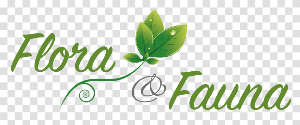 Logo Design For Flora Fauna Smartline, Vase, Jar, Pottery, Plant Transparent Png