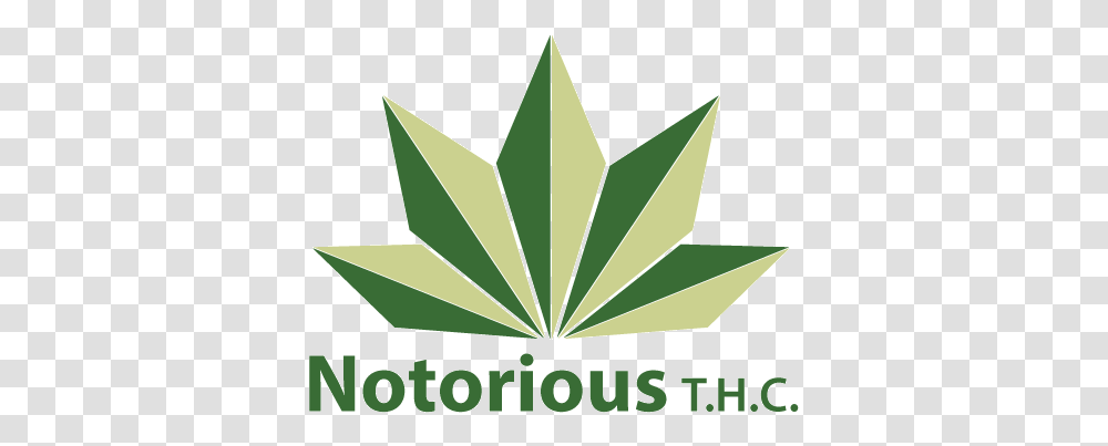 Logo Design For Notorious T Illustration, Leaf, Plant, Flyer, Paper Transparent Png