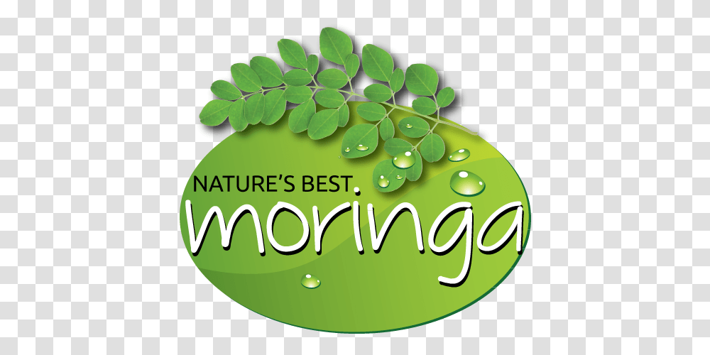 Logo Design Moringa Miracle Ear, Green, Leaf, Plant, Vegetation Transparent Png