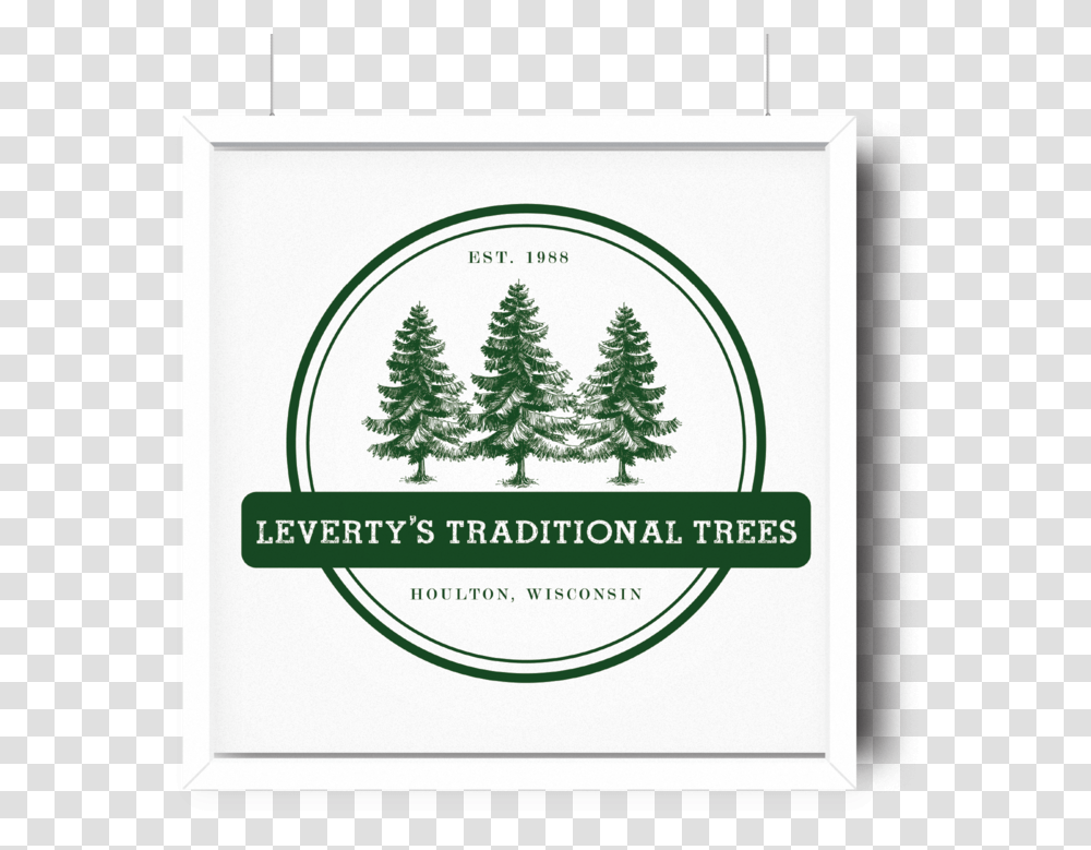 Logo Design - Bon Pine Tree, Plant, Ornament, Conifer, Christmas Tree Transparent Png