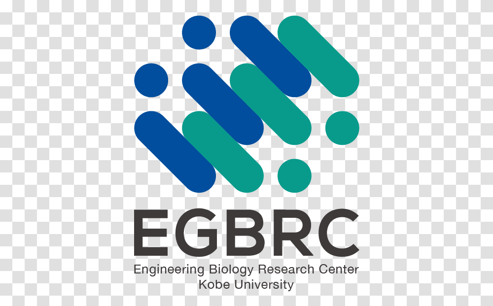 Logo Egbrc Dot, Medication, Pill, Ice Pop, Sprinkles Transparent Png